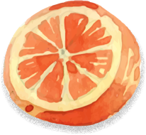 Buah Jeruk - Natura Fresh distributor buah import