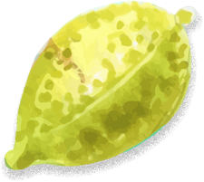 Buah Lemon - Natura Fresh distributor buah import