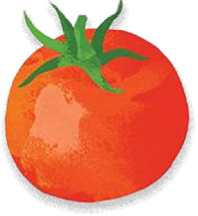 Buah Tomat - Natura Fresh distributor buah import