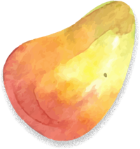 Buah Peach - Natura Fresh distributor buah import